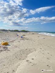 Riserva Naturale Le Cesine