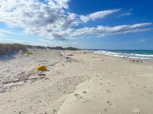 Riserva Naturale dello Stato Oasi WWF Le Cesine