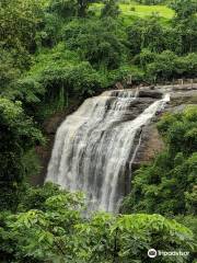 Vihigaon Ashoka Water Falls