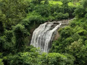 Vihigaon Ashoka Water Falls