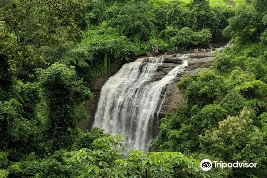 Vihigaon Ashoka Water Falls