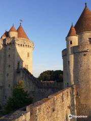 Château de Blandy-les-Tours