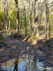 South Mountain Reservation