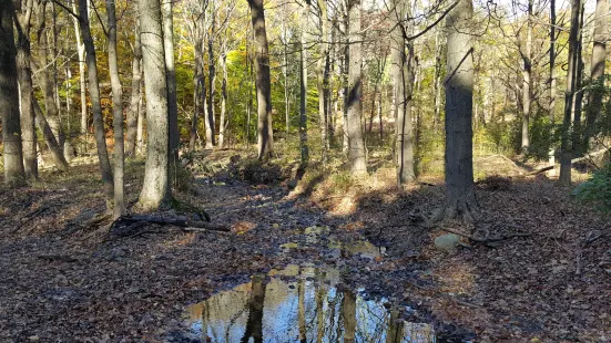 South Mountain Reservation