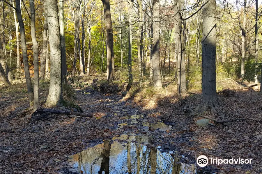 South Mountain Reservation