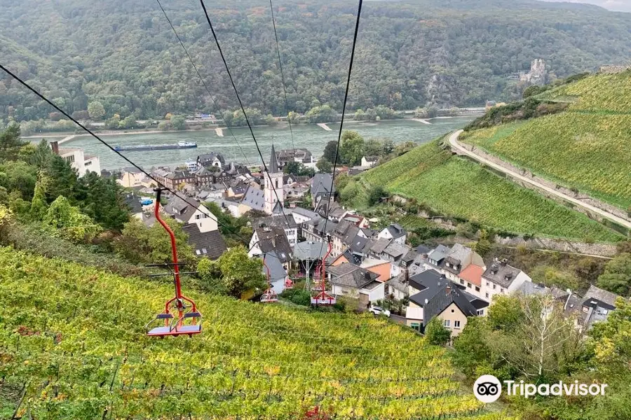 Niederwald-Seilbahn Assmannshausen - lower station (Chair Lift Car)