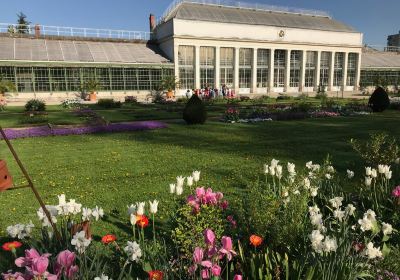 Jardín de plantas de Orleans