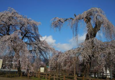 Seiunji Temple