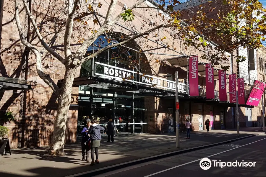 Roslyn Packer Theatre