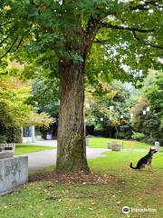 Freeway Park