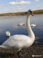 Strathclyde Country Park