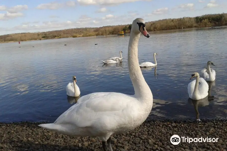 Strathclyde Country Park