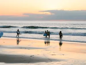 Gang Surf School- Surf School Biscarrosse