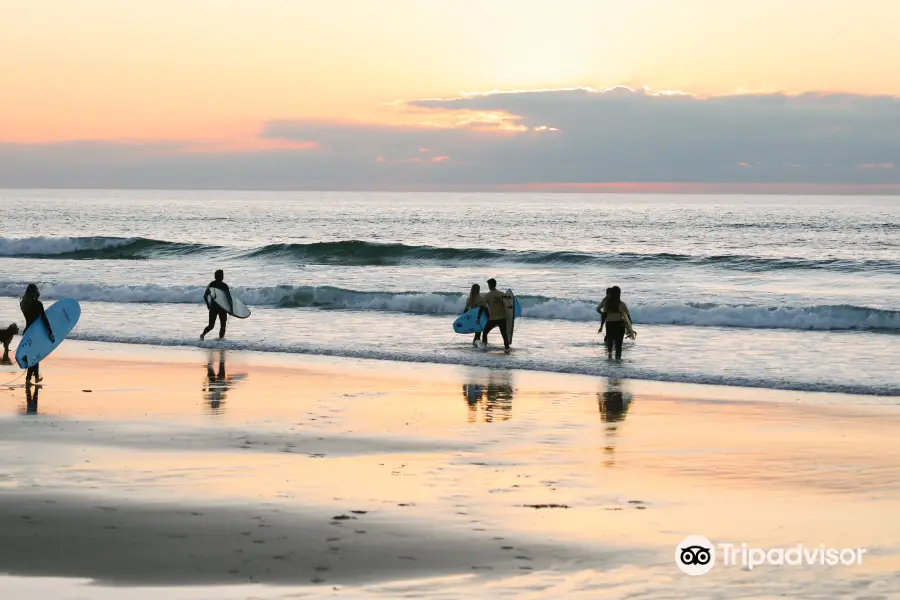 Gang Surf School- Surf School Biscarrosse