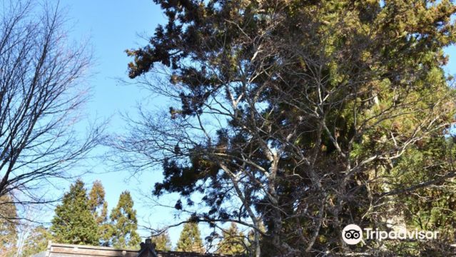 Otakiyamanishiteru Shrine