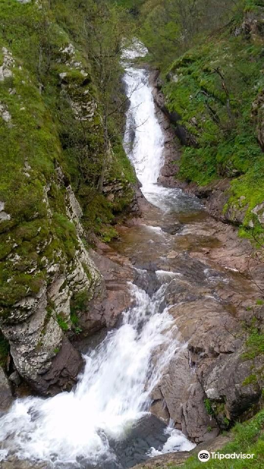 Arevik National Park