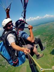 Signagi Paragliding/  Полеты на параплане / Georgian Paragliding Federation/ Rotor