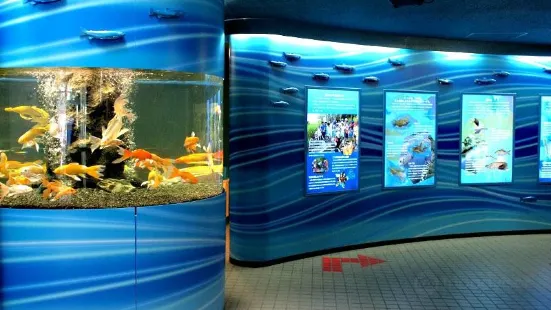 Saitama Aquarium
