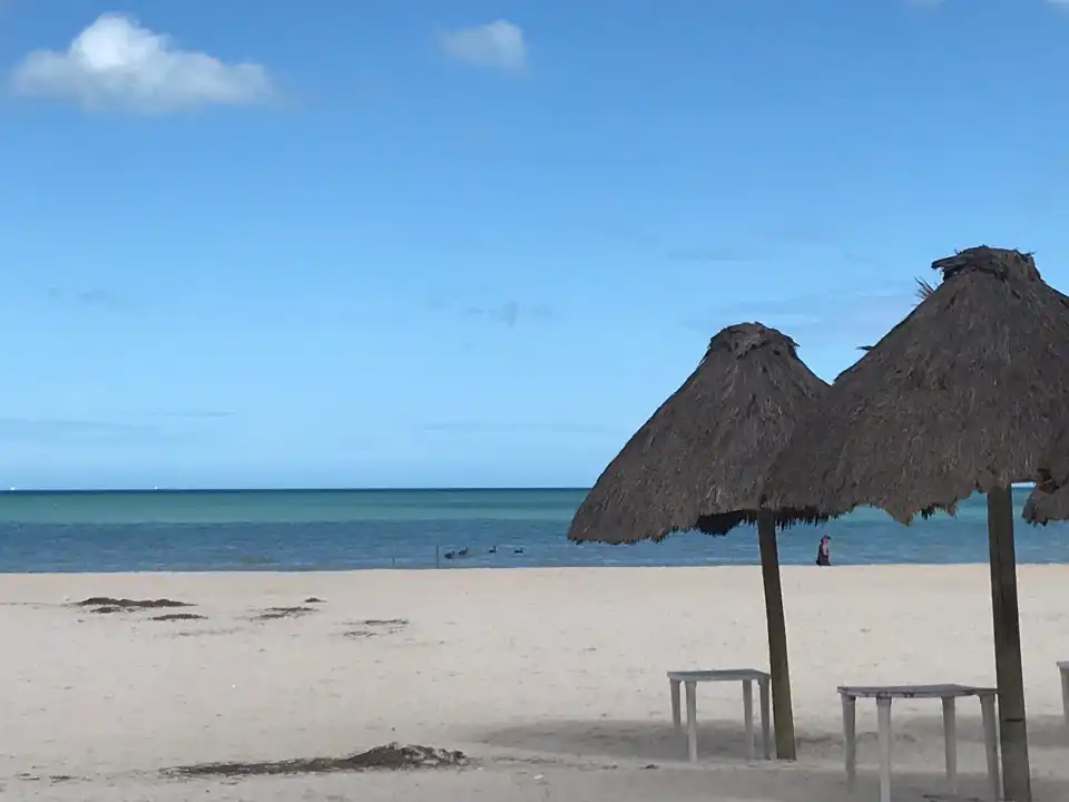 5_SARTEN CUBANO