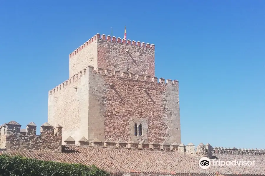 Castillo de Ciudad Rodrigo o de Enrique II de Trastámara