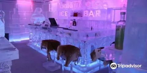 Below Zero Ice Bar