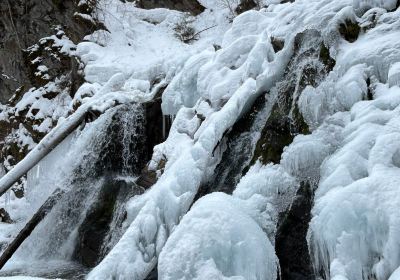 Fairy Creek Falls