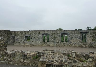 Desmond Castle