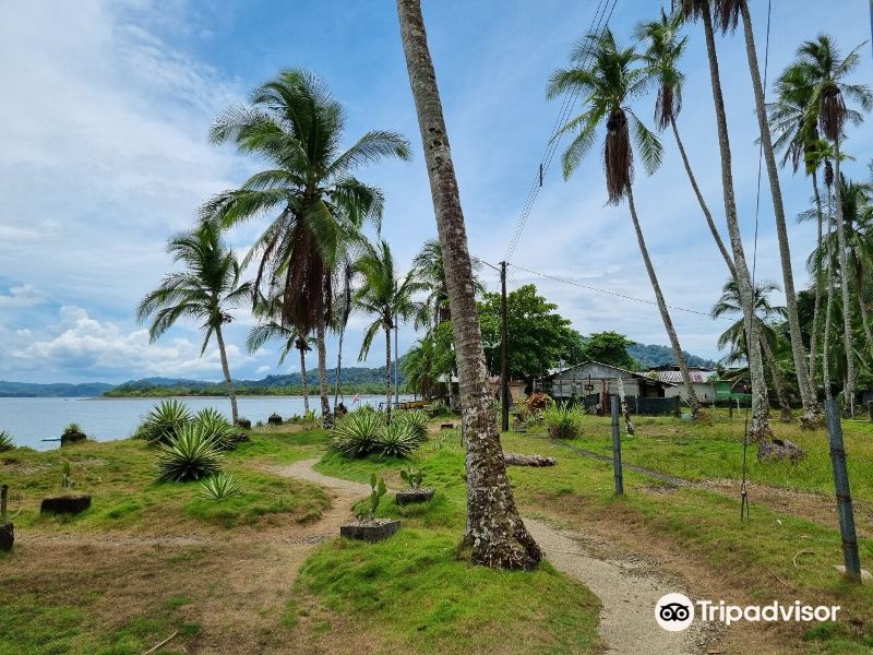 San Jose to Golfito Flights