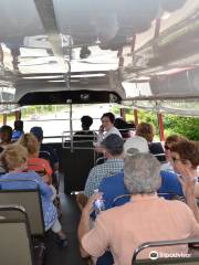 Buffalo Double Decker Tours