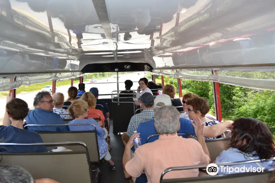 Buffalo Double Decker Tours