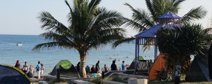 Zeytoon Park