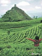 Gunung Cilik Kaliurip