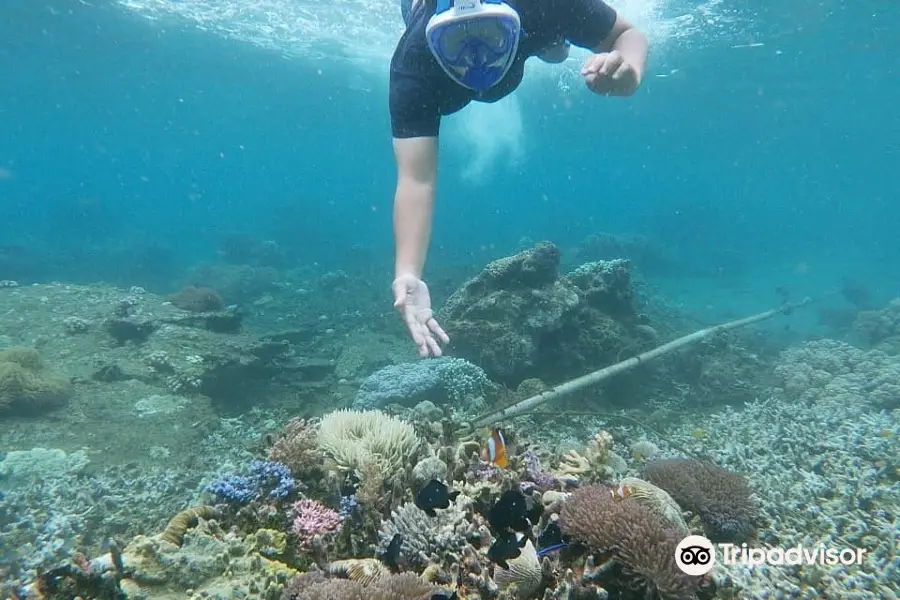 Bangsring Underwater