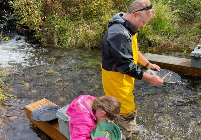 Alaska Wilderness Adventure