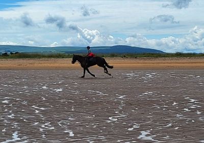 Belhaven Beach