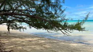 Central Eleuthera District