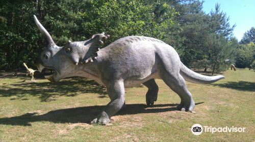 Jurajski Park Dinozaurow Muzeum Dziejow Ziemi