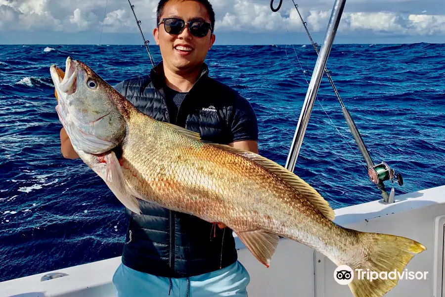 BK's Gold Coast Fishing Charters