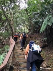 Linkou forest trail 林口森林步道