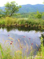 Le Jardin de Nelly