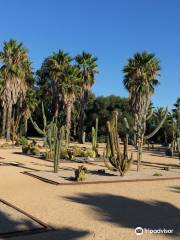 Parc Galea - Parcu Galea