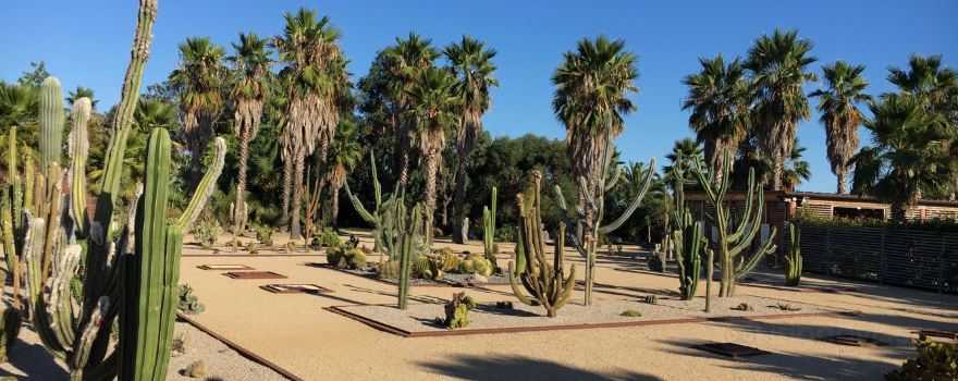 Parc Galea