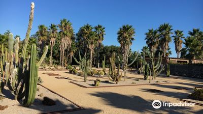 Parc Galea