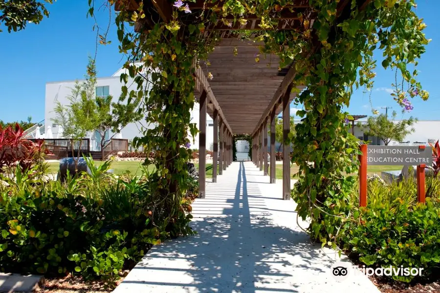 The National Gallery of the Cayman Islands