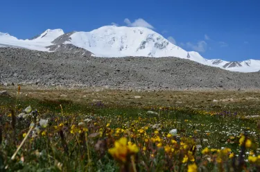 Ulgii