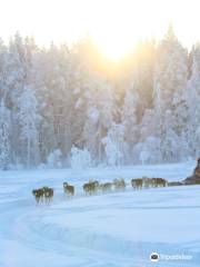 Arctic Circle Husky Park