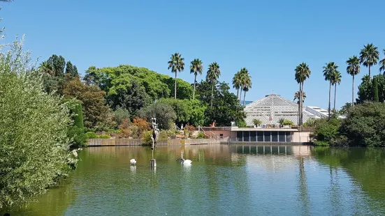 Phoenix Parc Floral de Nice