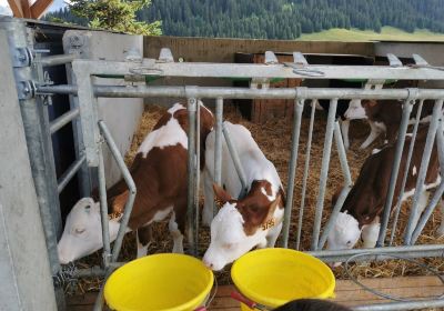 Ferme de Lorette