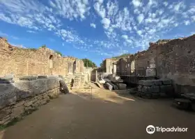 Archaeological Museum of Olympia