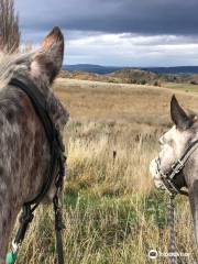 Backcountry Saddle Expeditions